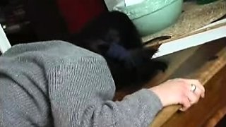 Brunette hookup amateur blowjob and dirtytalk sexdate