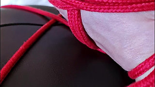 Tied up, Ready to Be Fucked Hard by My Lover While My Husband Watches Ass Pussy Homemade Wife MILF PAWG GILF Fetish Amateur