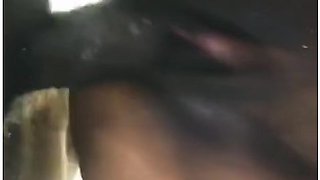 Ray Wells - School Girl On Her Laptop While Taking Daddy Big Black Cock I Hope I Pass My Exam