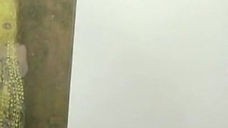 Stripper Gets Owned