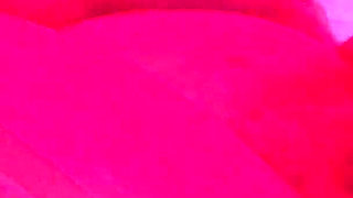 Horny Ebony Busty Slot Stuffs Her Pussy with Huge Dildo