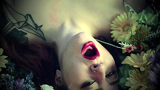 Like Your French Girl