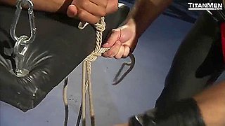 Kennel Master