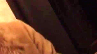 This Beautiful Busty Girl Masturbates on the Street and Gives a Blowjob at Home