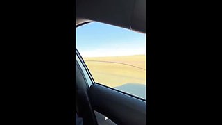 Pervy Wife Gets Fucked in Gas Station Bathroom
