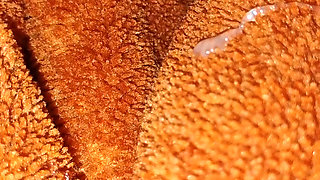 Spreading my masturbation