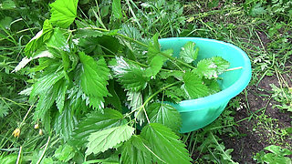 Nettle Whipping. Part 2