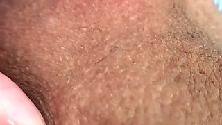 A Small Brazilian Penis