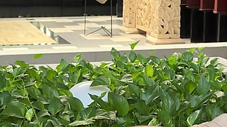 Roman Empress Livia Druscila Turns Ex-husband Into Foot Slave & Human Toilet - Cuckold Femdom Humiliation 4K