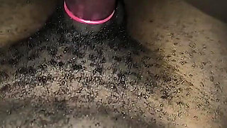 Amateur Couple Close up First Time Riding Hard Dick in Reverse Cowgirl