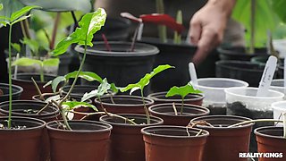 RK Prime - Getting Banged In The Greenhouse 1 - Peter Fitzwell