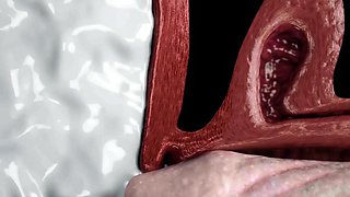 Alien Hentai Porn - Casca Zahara Caught by Monster Cock