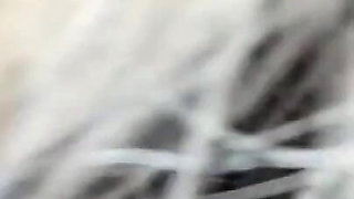 Entering the Bathroom Then I Put My Dick in the Vagina