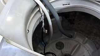 The neighbour seduces me while I repair her washing machine