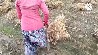 Wheat Harvesting Female Laborer's Pussy Was Fucked in Doggy Style