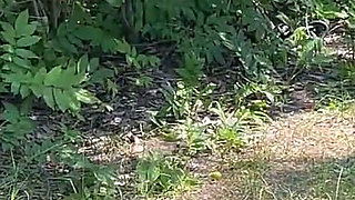 After the Ride: Outdoor Sex in the Woods with a Petite Ass