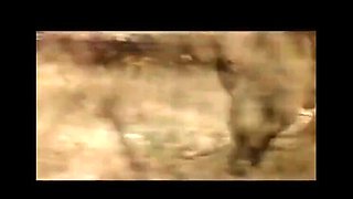 Asia D'Argento Takes Big Dick in Hairy Pussy and Ass