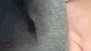 Busty Sash Strap Outfit, Tit Squeeze and Panty Slide Tease. Fingering Makes Her Scream, Special Edition!