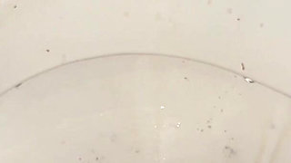 Licking Dirty Floor and Toilet, Flashing Head in It