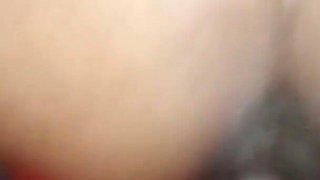 Doggy's Really Fun with Sri Lanka Homemade