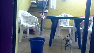 Immoral Large Boobs Pro: Amateur, Eporner  Solo Porn