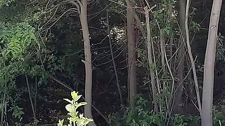 Cumwalk Next to the Beach and Risky Sex in the Bushes