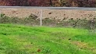 Punishing the Slave Girl