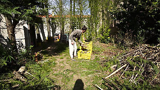 Looking for HARD TRUNKS to saw!(amateur sex in the woods)