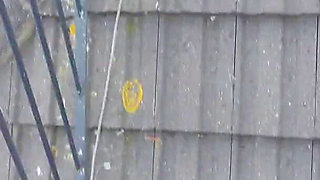 Cheating Wife Andi James Sneaks off for Forbidden Quickie Fuck with Snake Dave at Wild Party (husband Away!)