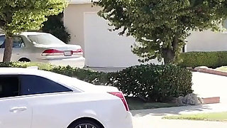 French Casting in the Usa 3