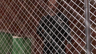 University Days 24 Amelia Like Taking Risk Fuck Her While Her Brother Was Close by