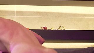 Job Sollicitation for Alice Berry