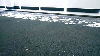 Miley-Weasel - Schnelle Nummer auf dem Parkdeck