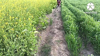 Punjabi bhabhi outdoor sex . Bhabhi fucked in doggy style in n jungle.