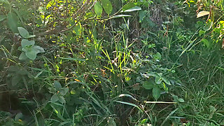 Porcelain Doll meets a fan on beach