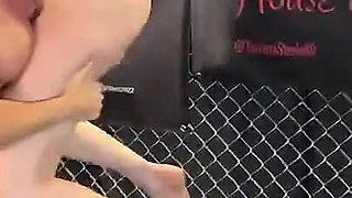 Kandylegs Vs Sinthia Bee Catfight