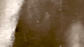 Black Market Potato - Restored & Remastered